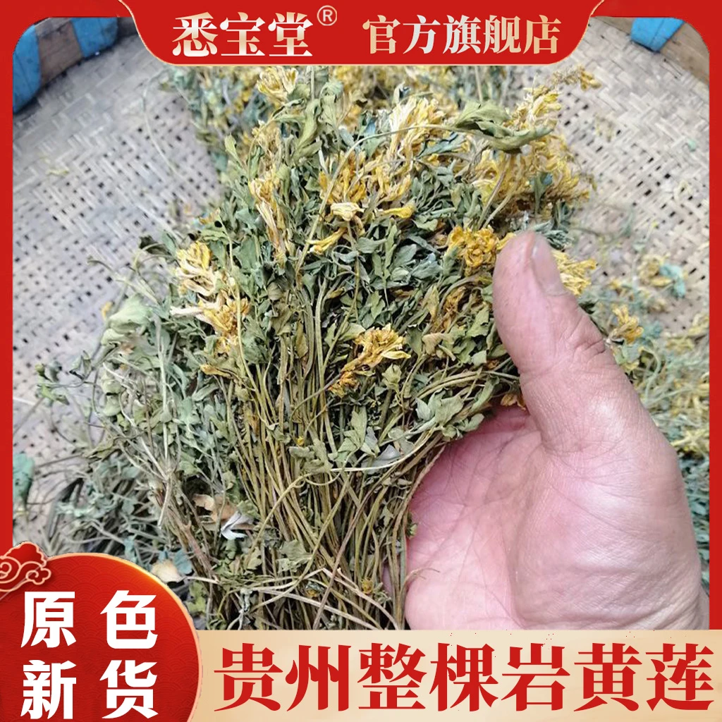 【专属链接】正品岩黄连 胡岩连 土黄连自然晒干100g泡水