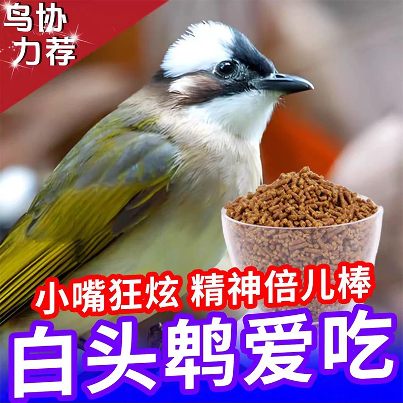 白头翁鸟食大唱鸟粮红尾北鸲白头翁长尾四喜黑白歌鸲鸟食专用饲料