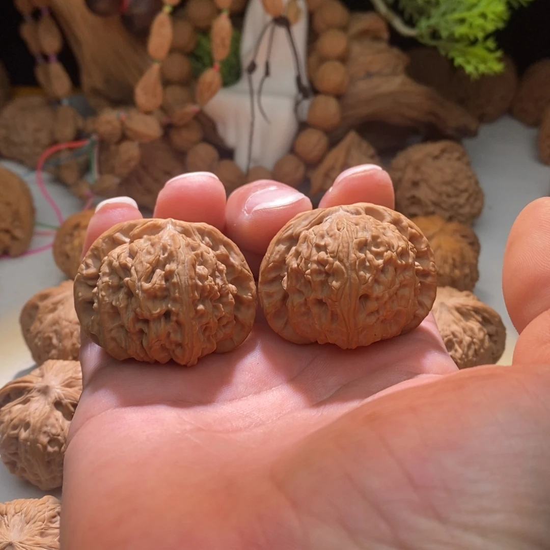 文玩核桃把件白狮子44有修