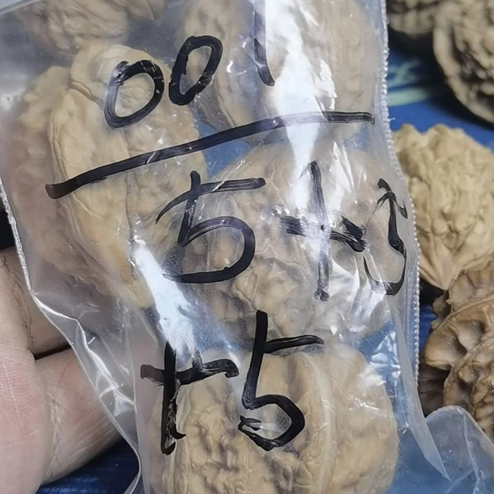 0***1核桃手串/手链三元宝，带2