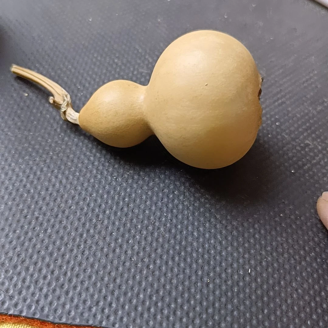 广**室齐开得胜厚皮葫芦