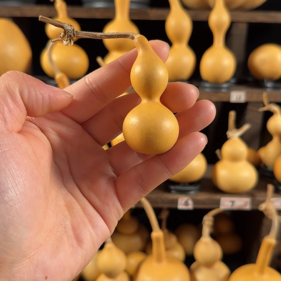 伟****点葫芦葫芦葫芦葫芦葫芦葫芦