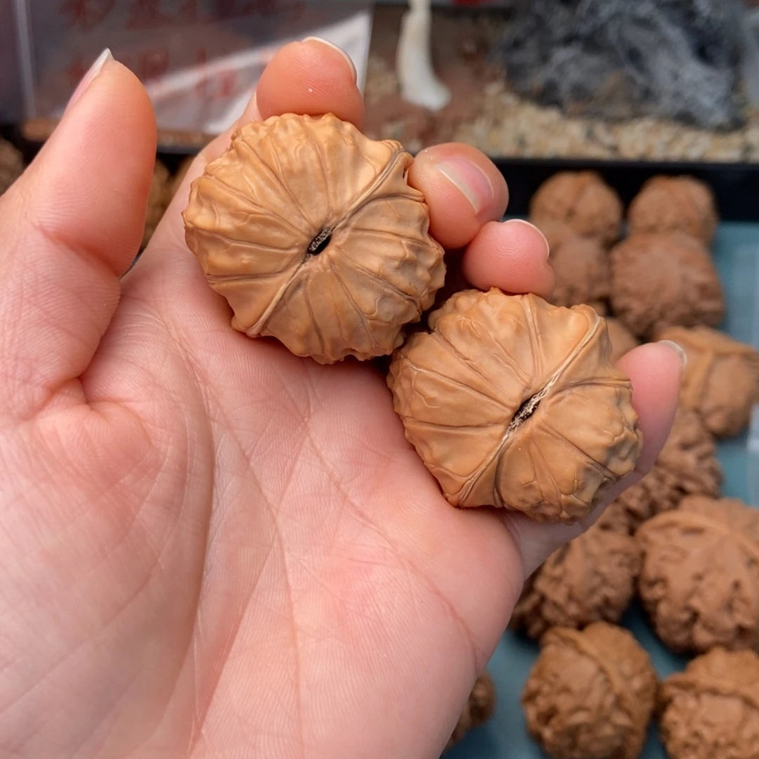 文玩核桃把件龟甲纹6