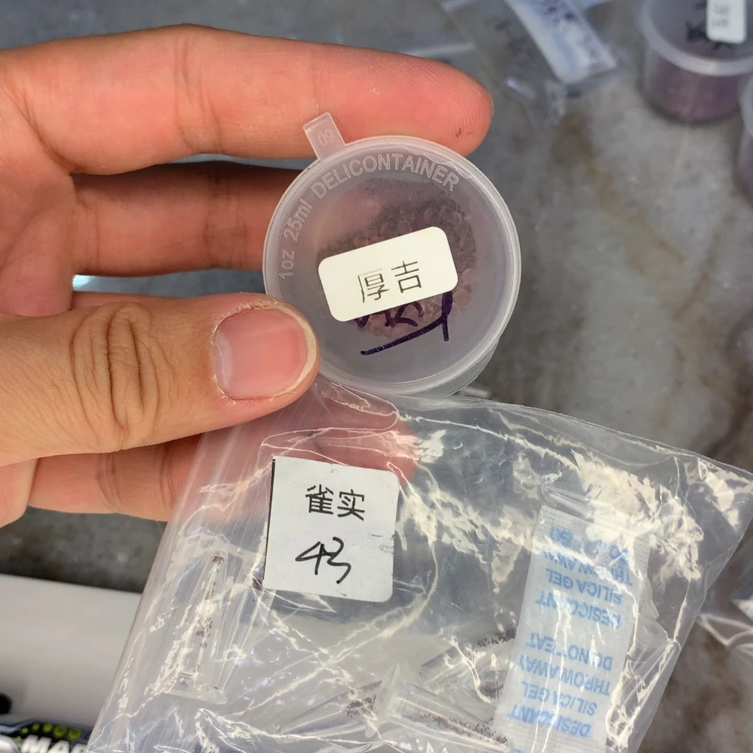 雀实10厚吉10粒种子