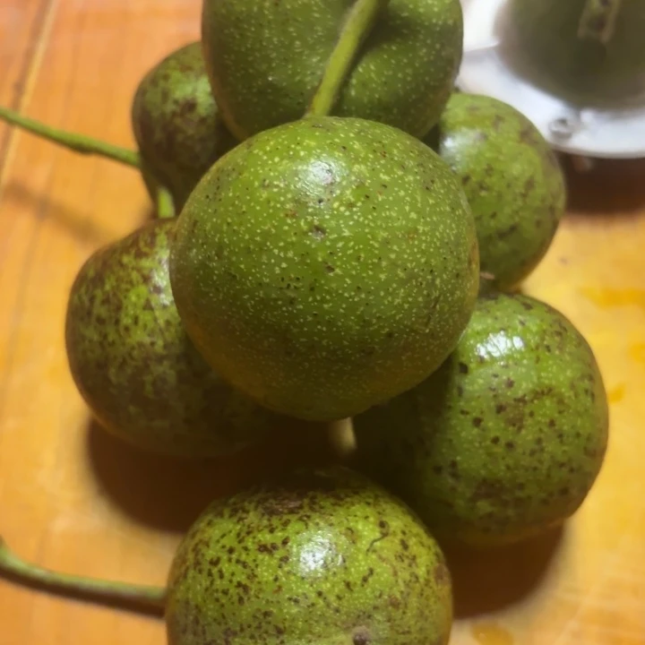 ༄***࿐文玩核桃吊坠白狮子