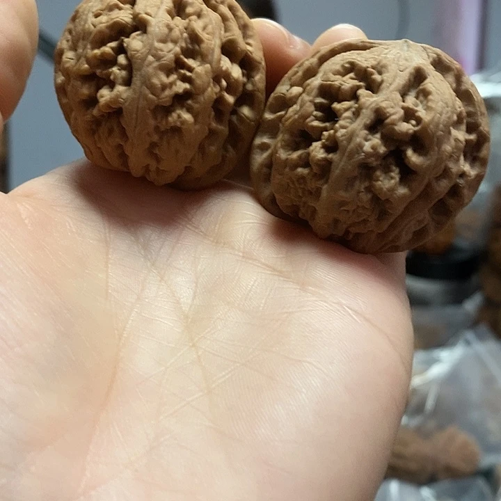 文玩核桃把件41.5粗筋油