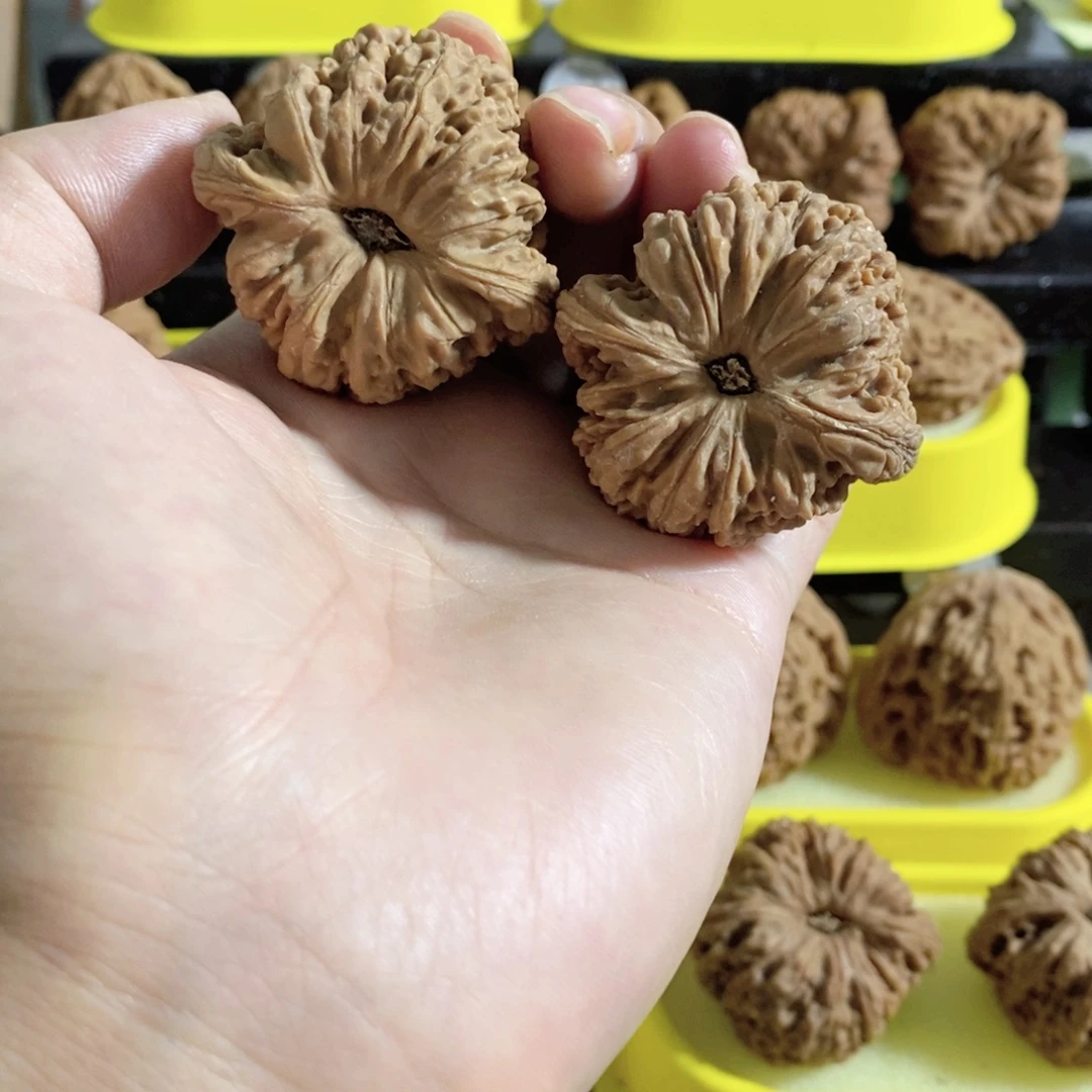 木质类今天是不是又