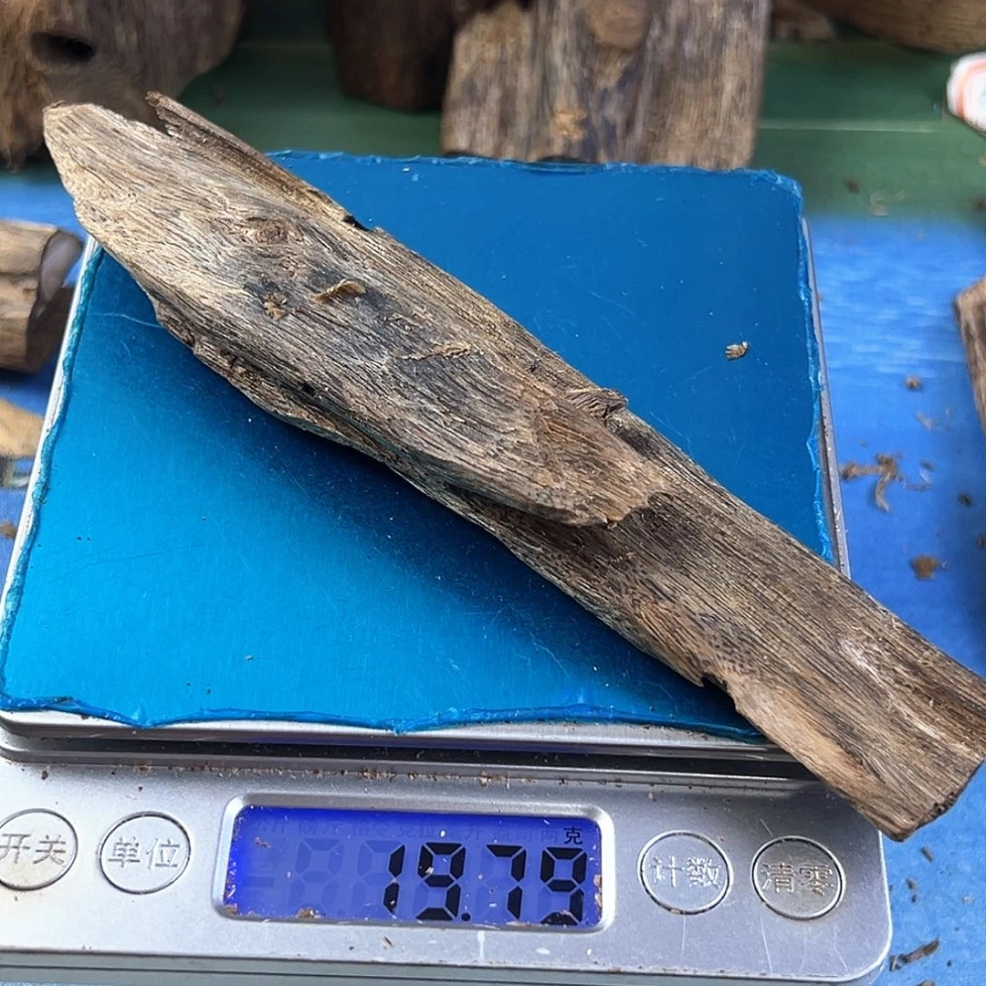 香料绿奇楠虫漏白棋19克