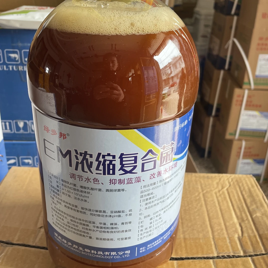 水产养殖EM浓缩复合菌 净水质改底抑弧菌 降氨氮促鱼虾生长