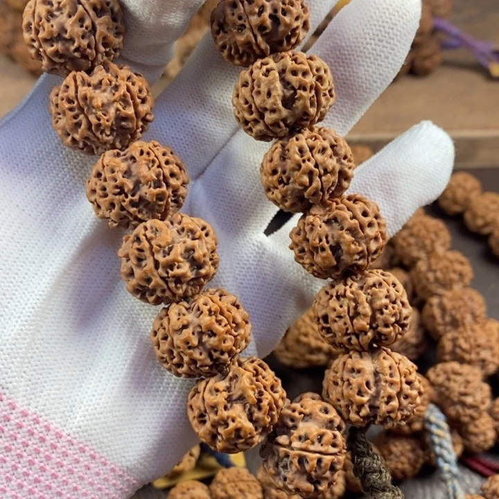 手串金刚菩提20.5+mm粗筋矮桩梅花底，骨质硬