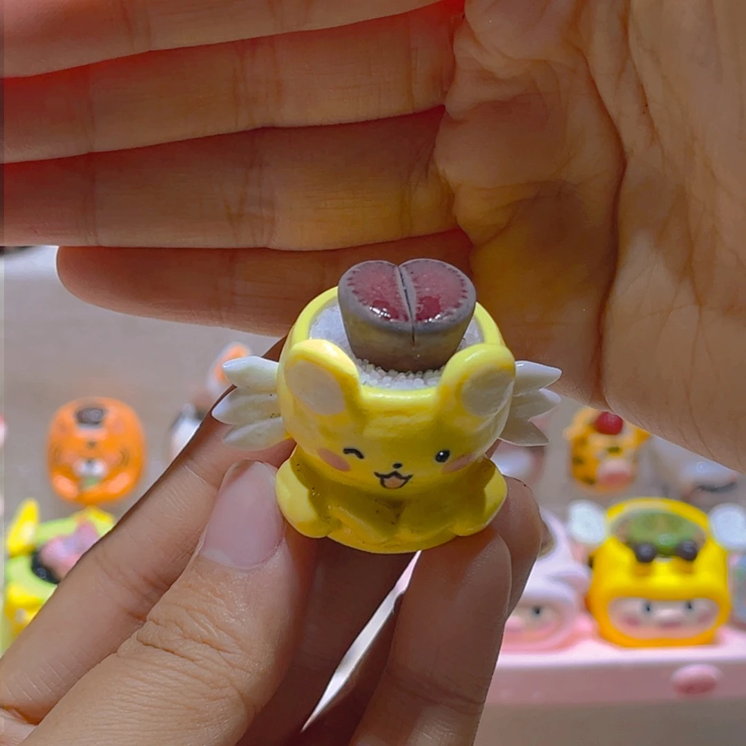 048高端多肉带盆土一套31