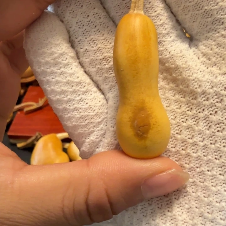 清***光筋天裂666666666666