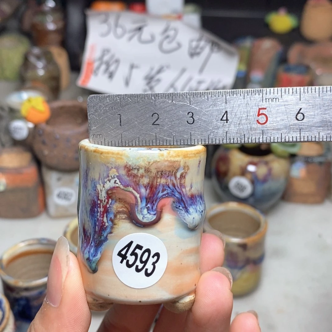 拍5送一个小礼物