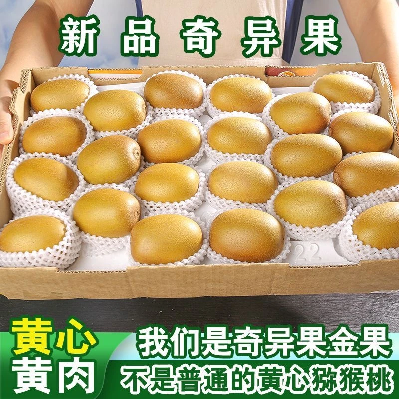 国产黄金奇异果正宗黄心黄肉猕猴桃无毛大果阳光金果新鲜应季水果