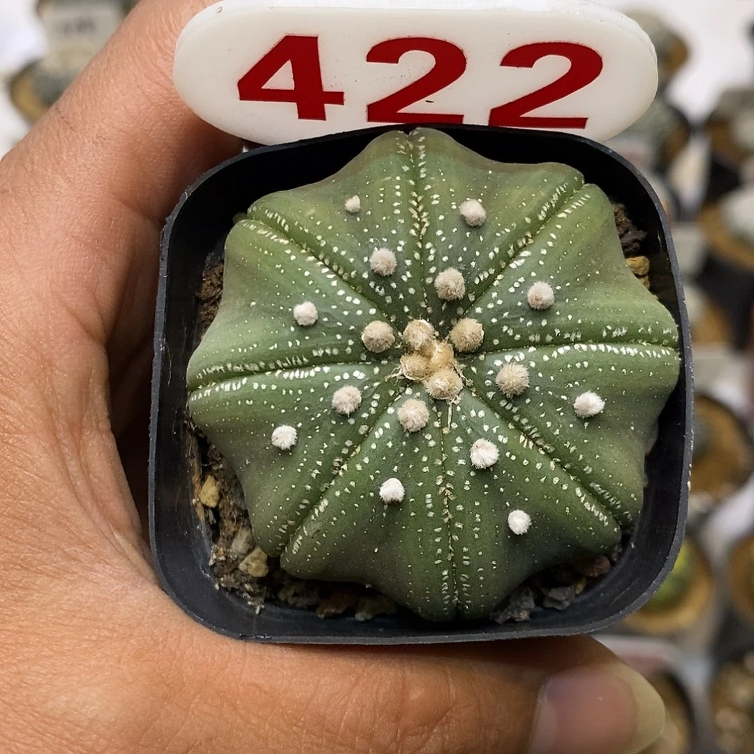 422福利了特价来了哦亲签