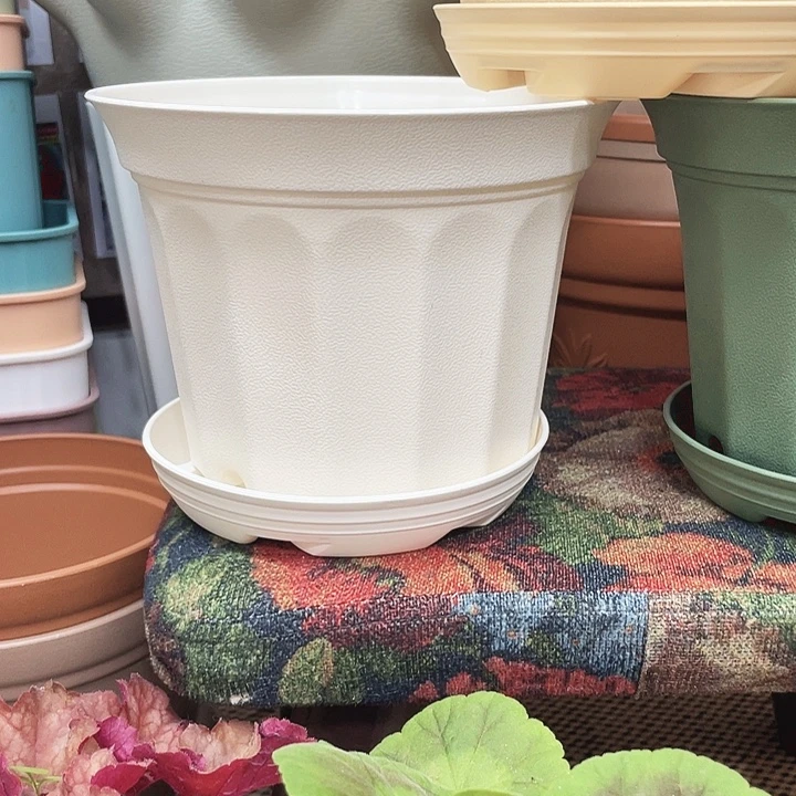 小果口17白色5个带拖