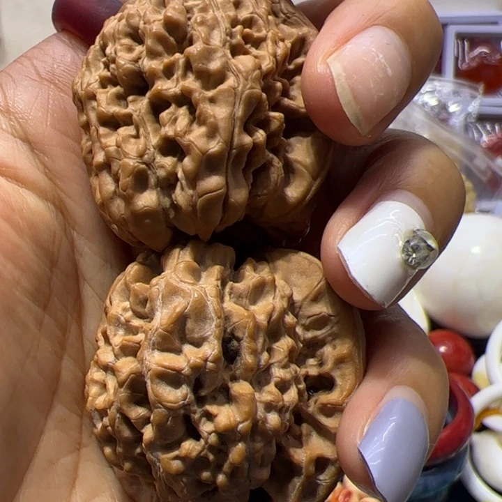 大果紫檀（缅甸花梨）核桃