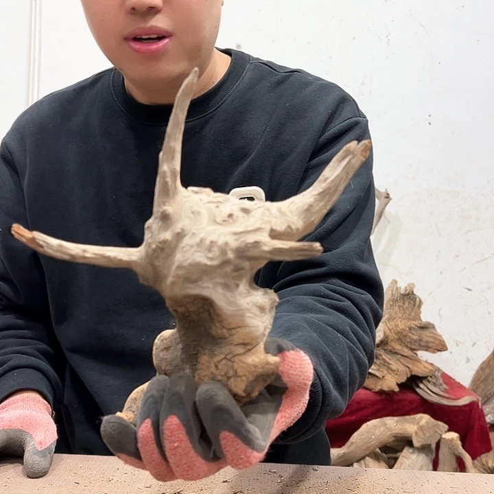 柏木叶****室我们的生活是以自己为中心