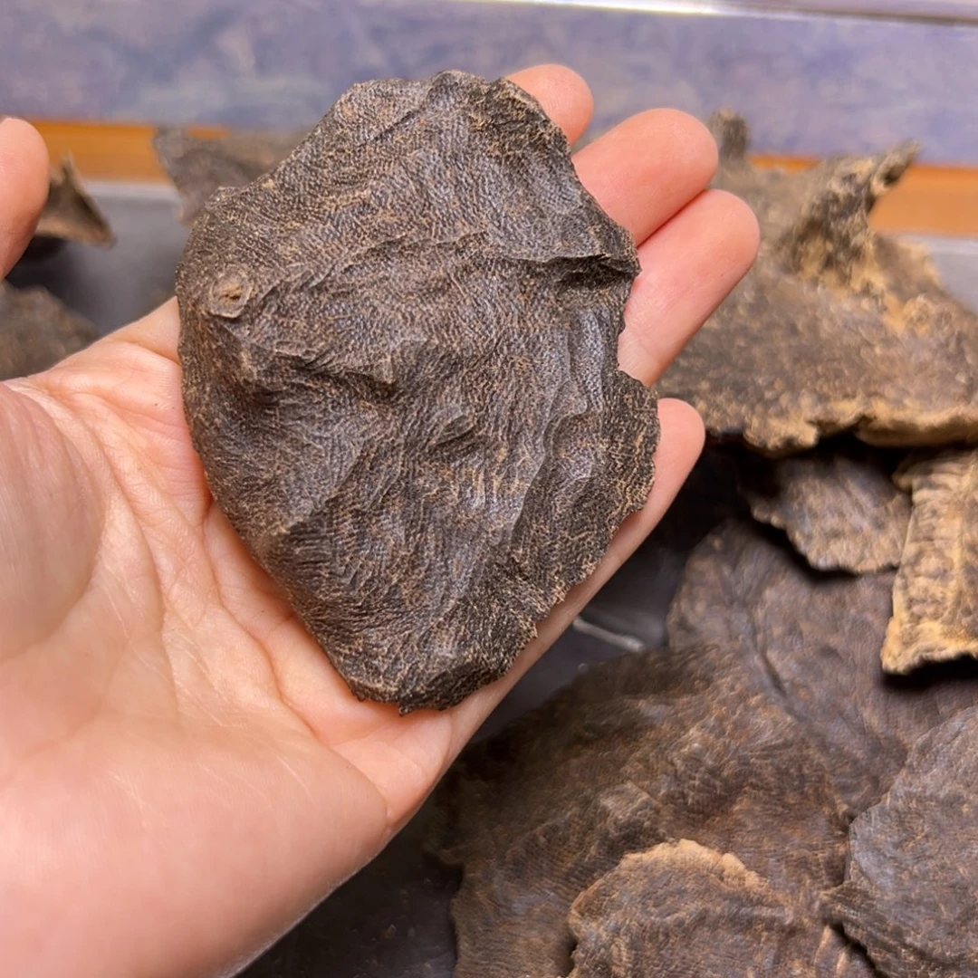 沉香碎屑沉香海南乐东淳化老包头7.4克