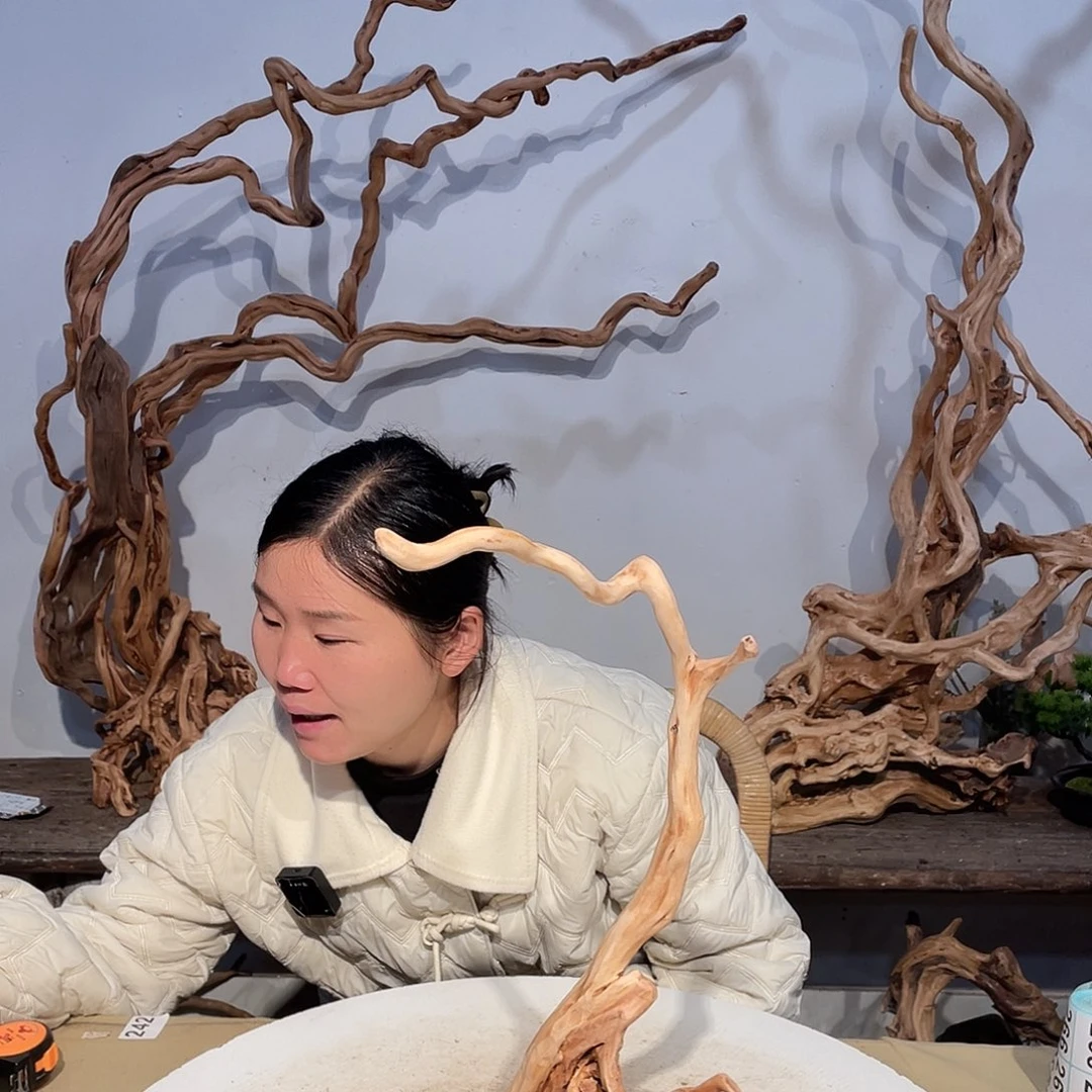 核桃木/黑胡桃（胡桃木）梁****比