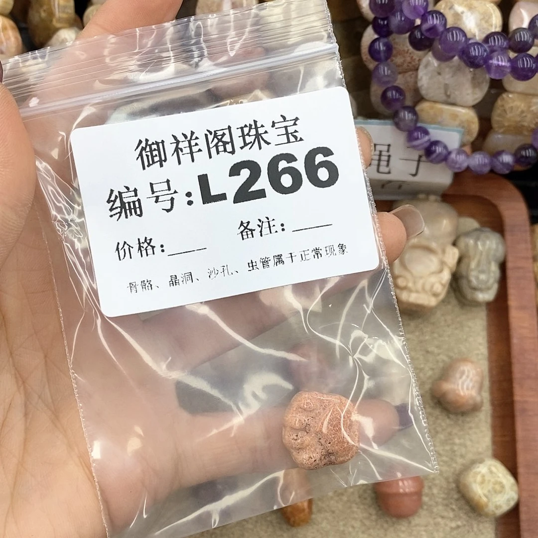 硅化珊瑚（珊瑚玉）L198未镶嵌唉**呀