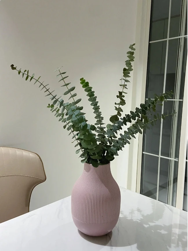 【配草】尤加利叶一把+营养液
