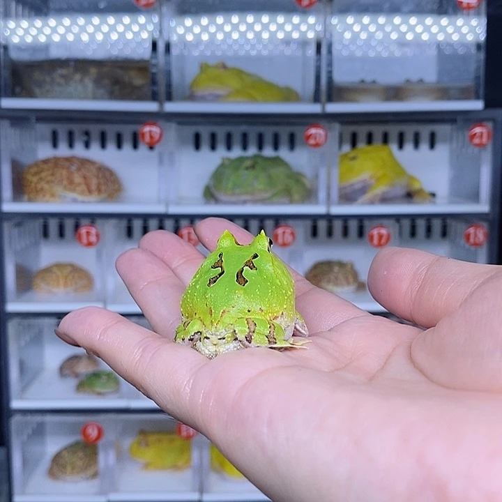 特价秒杀现货特价