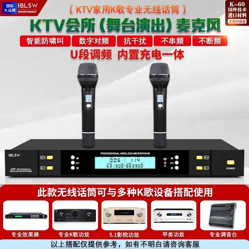 正品IBLSW专业舞台演出无线话筒一拖二家用调频KTV可充电麦克风