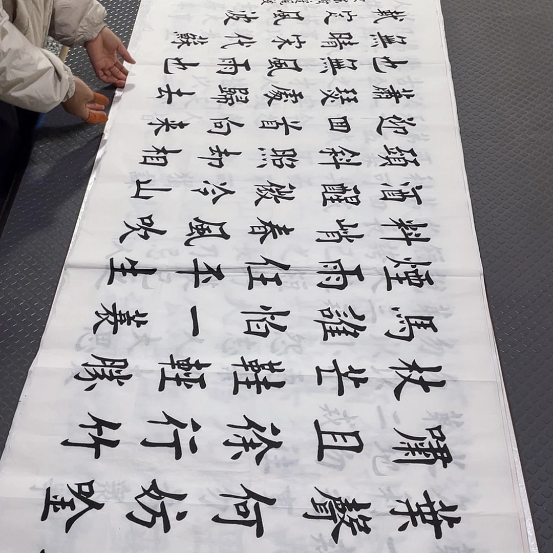 书法老师真人手写杨