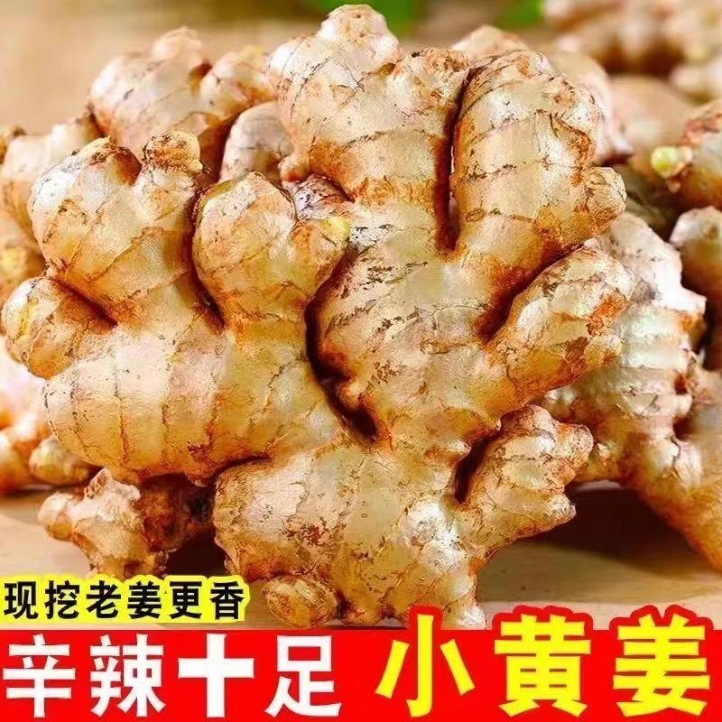 云南新鲜现挖小黄姜2斤正宗自种老姜 紫皮独蒜干蒜小米辣组合