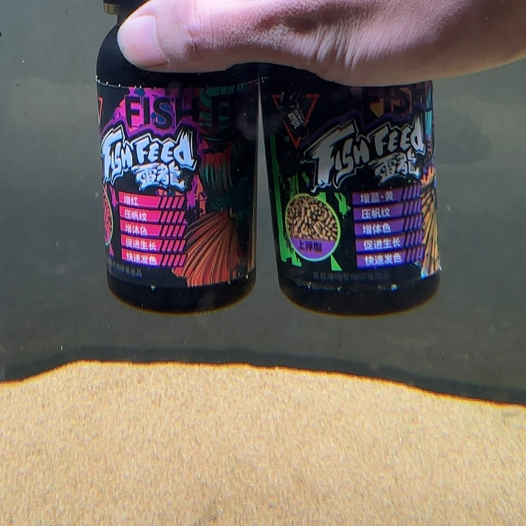 雷龙热带鱼公，10饲料