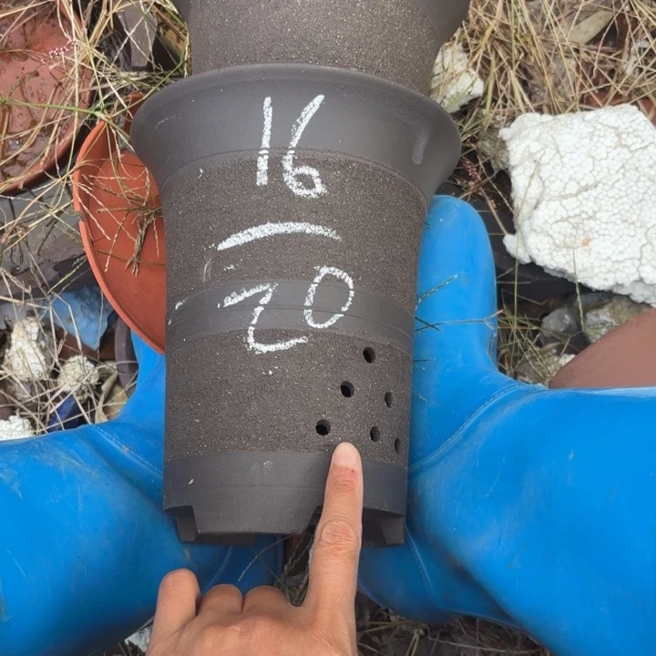 花盆紫砂紫砂的颜色