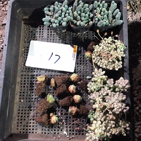 我们也不会错过任何一个