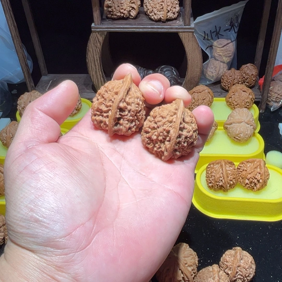 野***￴精品小官帽40尺一对