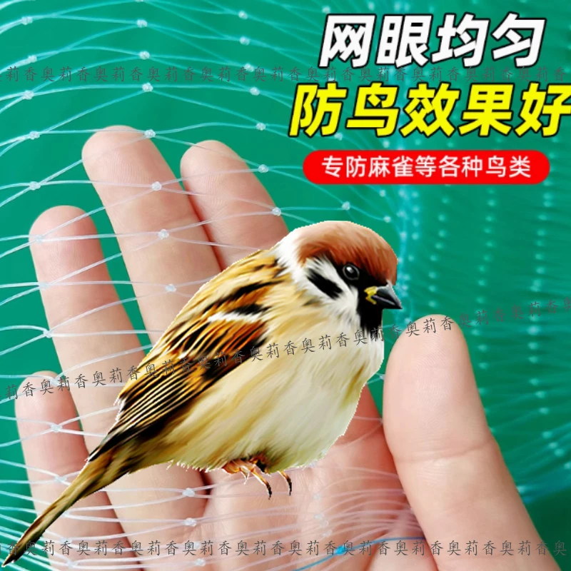 防小鸟专用网果树园防护大棚樱桃葡萄梨树高粱稻谷养殖鱼塘天网罩