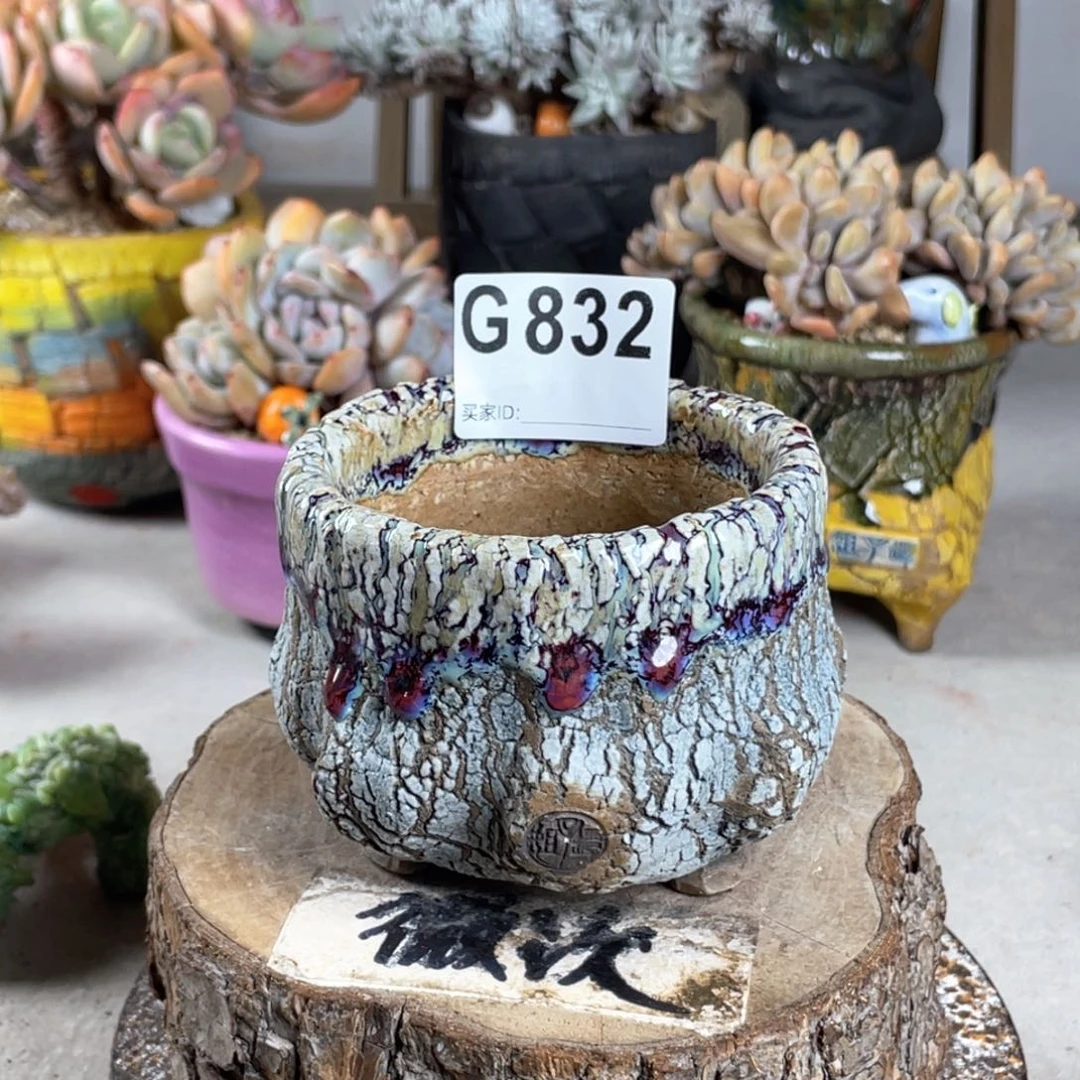 紫砂花盆开播福利 陶瓷花盆