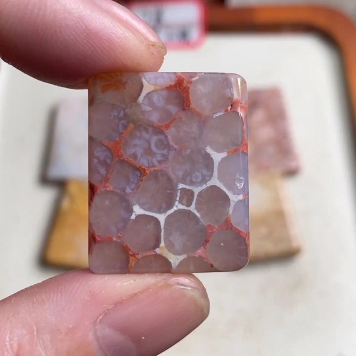 合金珠宝奇石硅化玉45