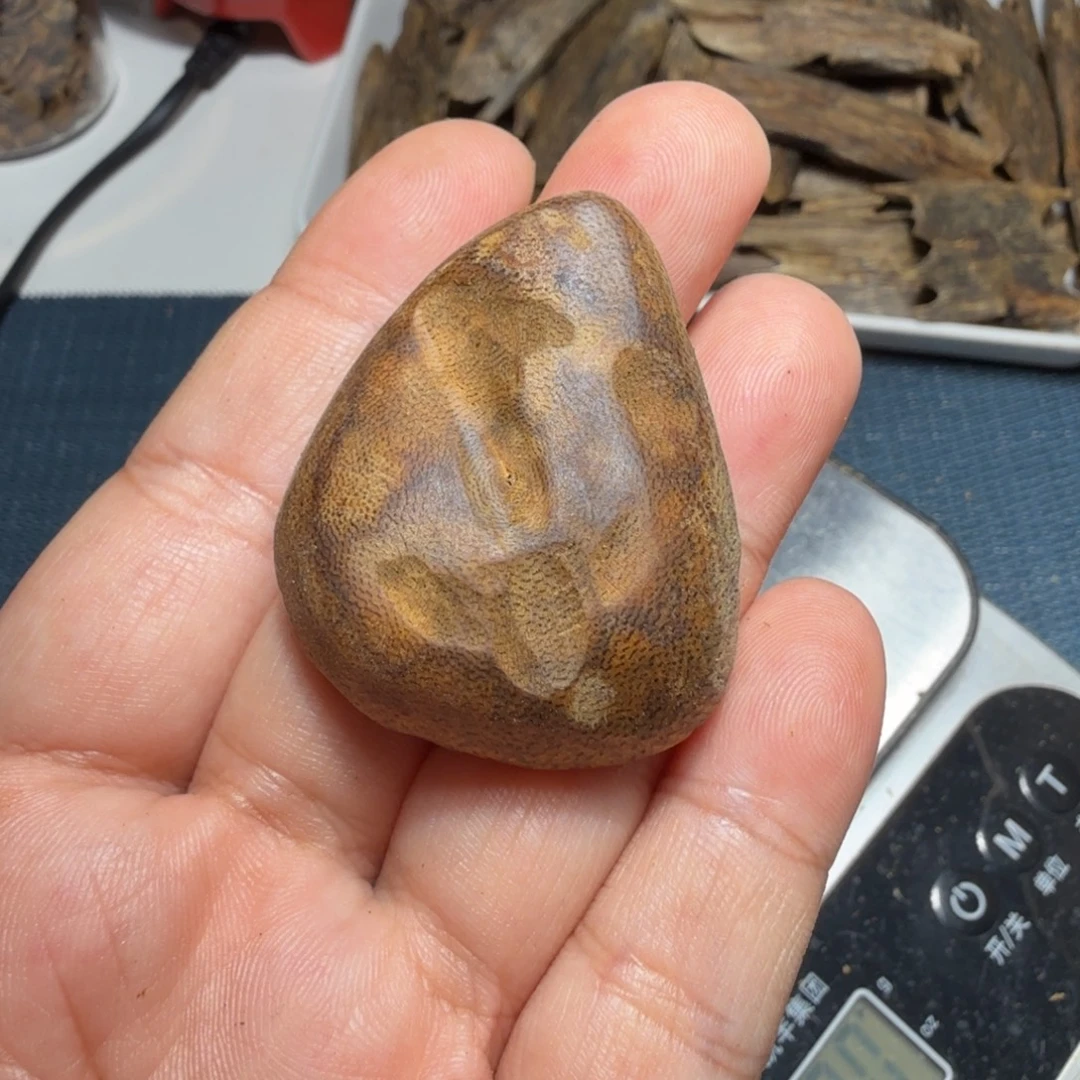 有***美香榧木白棋包头6.5克，打孔不退不换