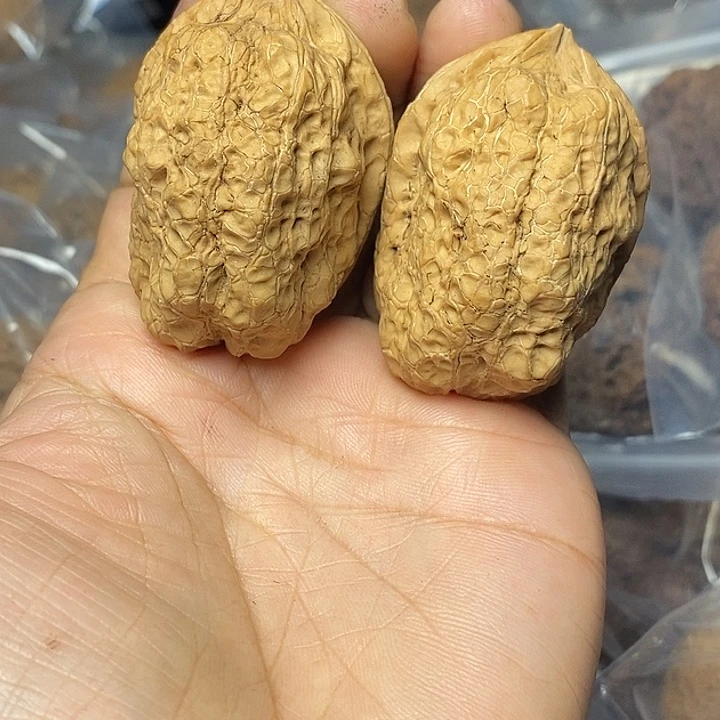 把件文玩核桃云南铁核桃75