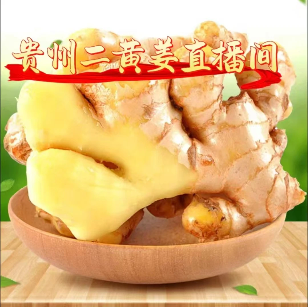 贵州二黄姜山姜皮色黄亮肉质细嫩芳香浓郁辡味适中调味腌制品姜茶