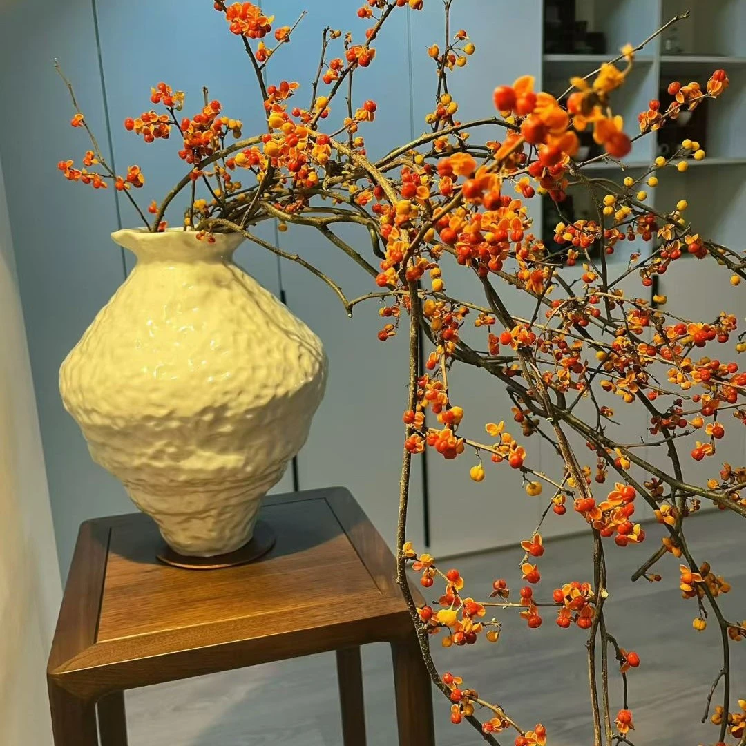 高端小众南蛇藤鲜切枝可用于室内插花装饰做干花