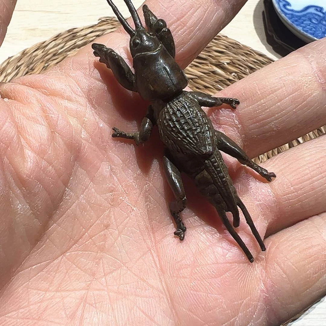 其他哈哈哈哈我的天啊