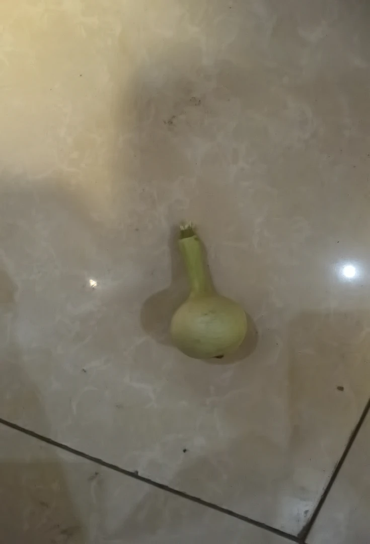 精品葫芦，图片仅供参考