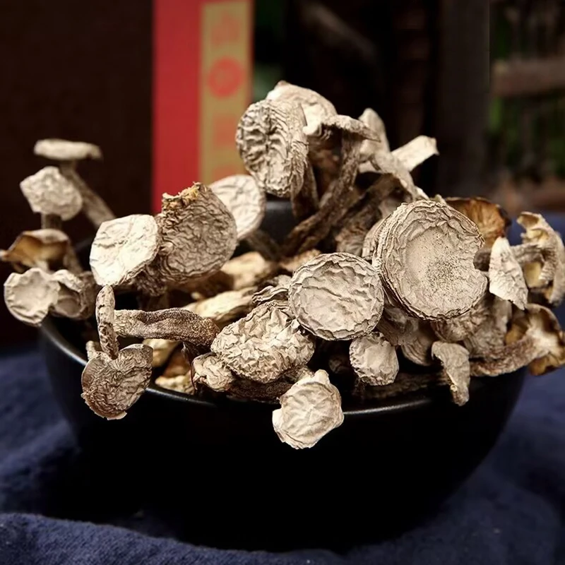 云南小阳山货 鹿茸菇