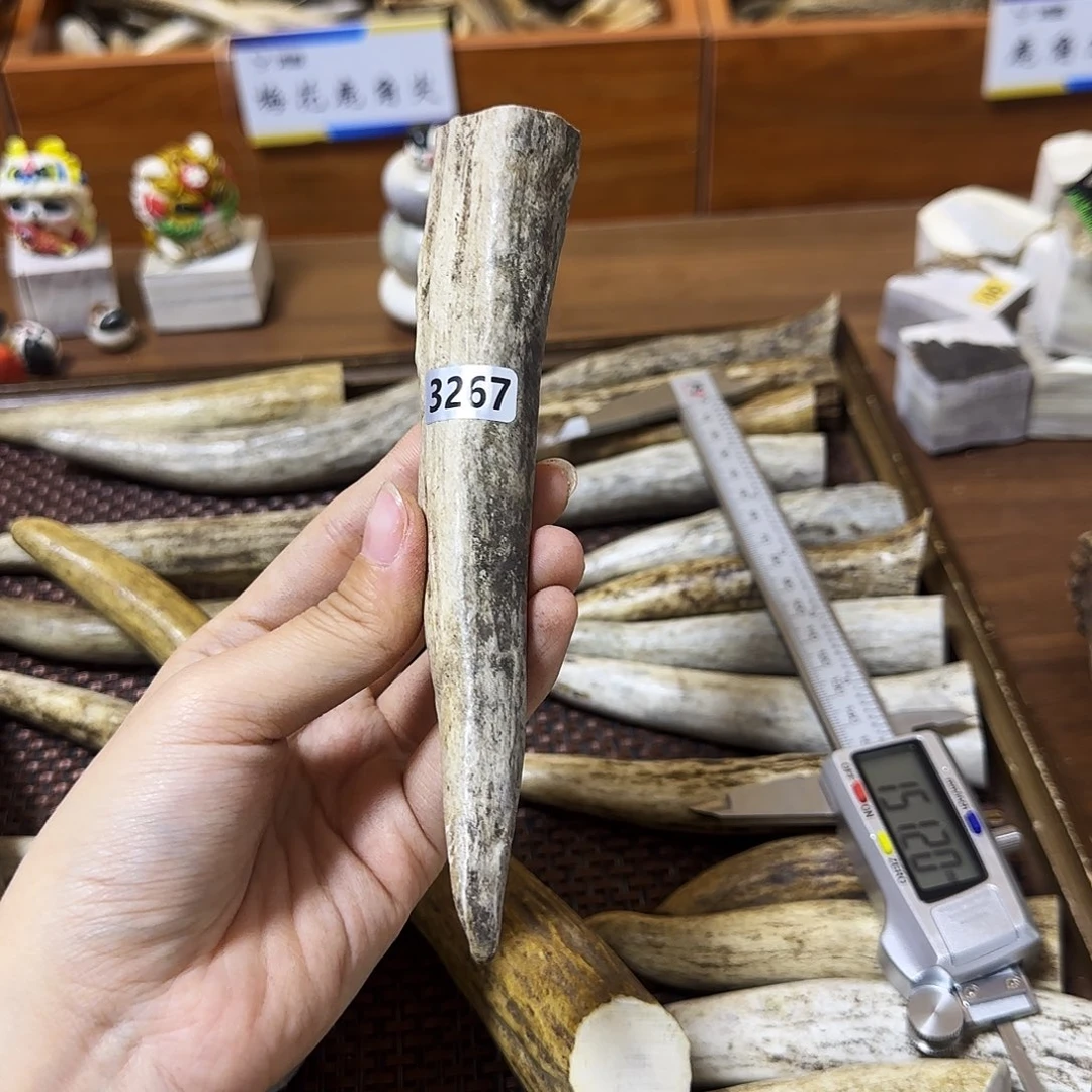 鹿骨手串/手链3267角尖