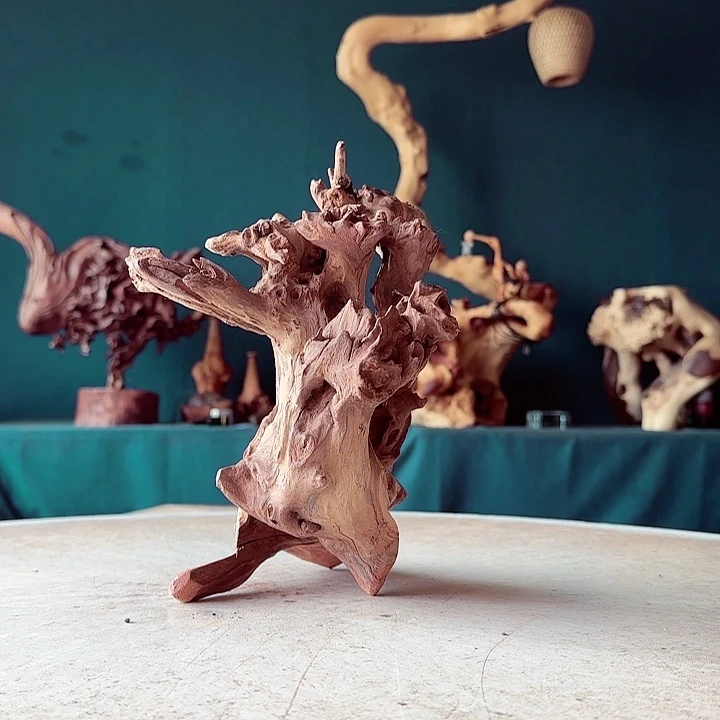 黑果木阿**.955 金丝红木羊蹄甲半成品