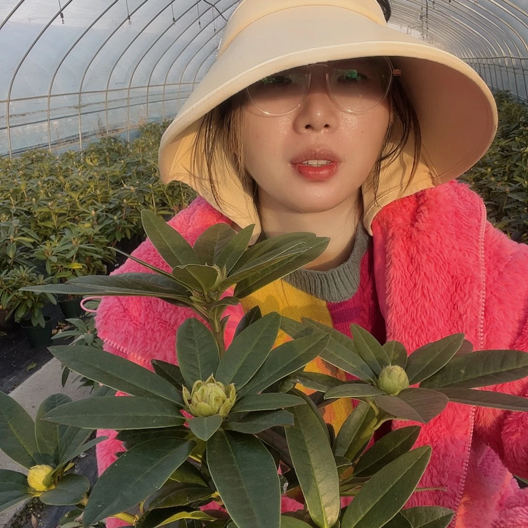 无花朵甜心一加仑