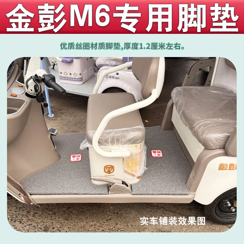 适用于金彭M6电动三轮车脚垫丝圈防滑JP800DZK-18E踩踏板垫免剪