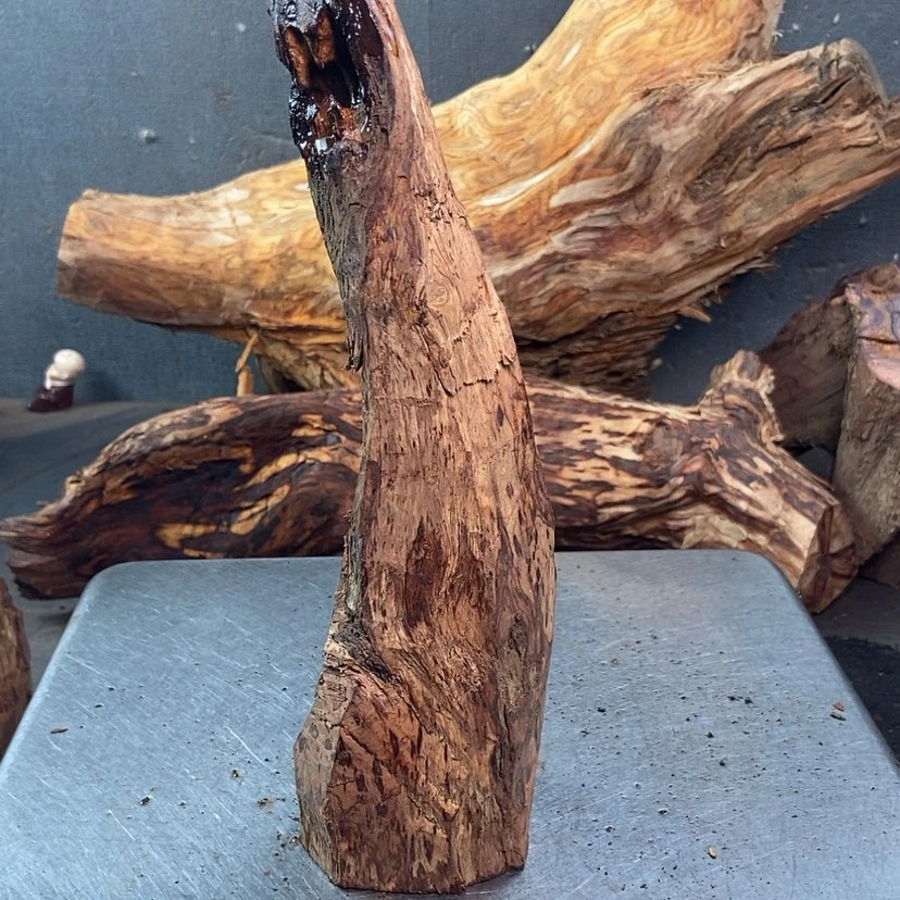 【闪购商品】黄花梨/降香黄檀冬*