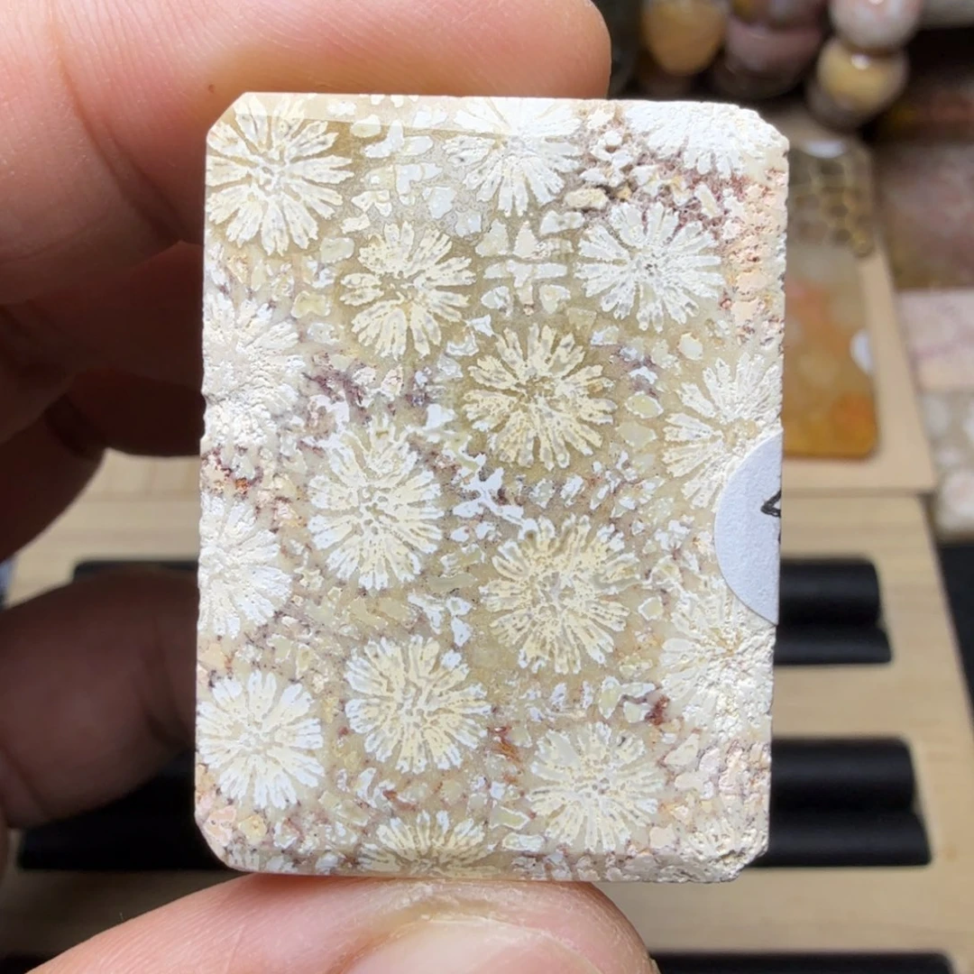 硅化玉未镶嵌纯天然色有机玉石保真色